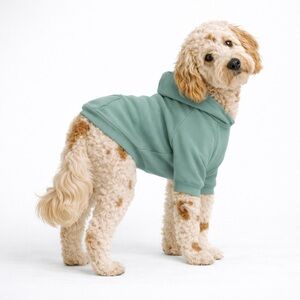 Spark Paws Essential Dog Hoodie Teal Size 2XL Premium Cozy Pup Sweatshirt NWT